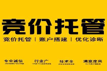 竞价广告的投放策略：XX企业成功案例解析